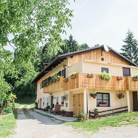 Penzion Pocitniska Hisa Pologar Tolmin Exteriér fotografie