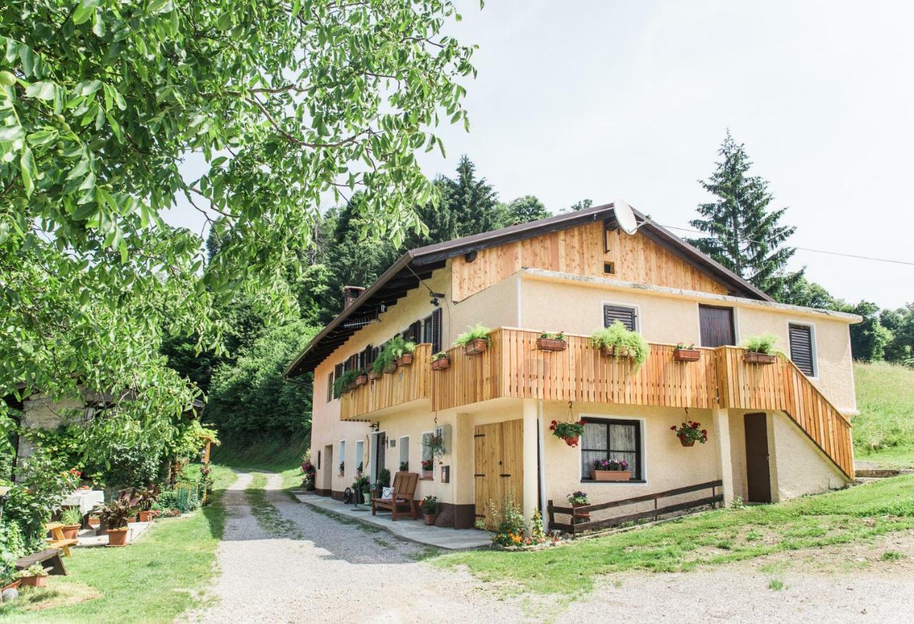 Penzion Pocitniska Hisa Pologar Tolmin Exteriér fotografie